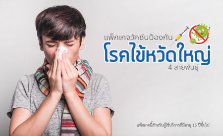 แพ็กเกจวัคซีนป้องกันไข้หวัดใหญ่